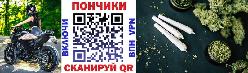 Бошки марихуана индика купить закладку Чита