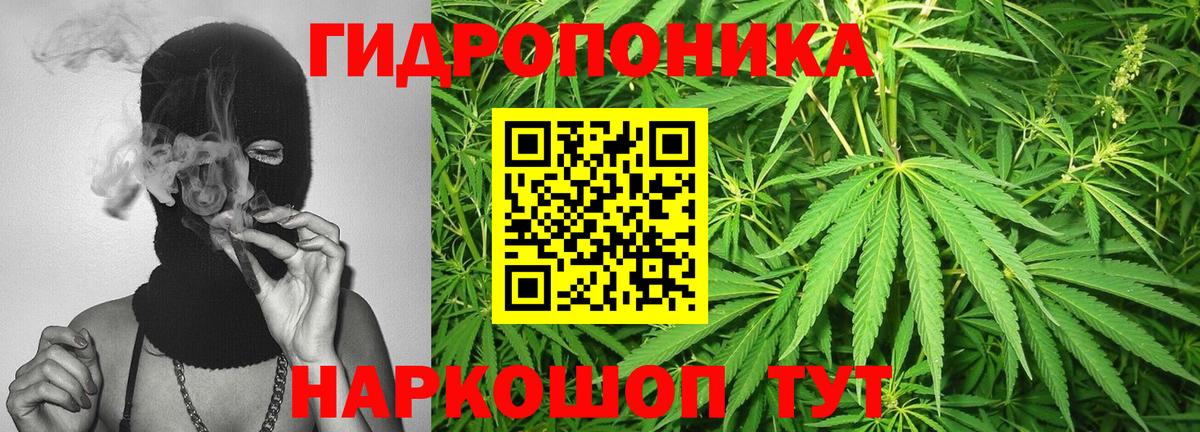 Конопля сатива  Канабис план  МАРИХУАНА White Widow  Чита  Вход с VPN 